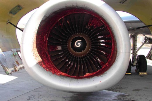 Running Engine and Ground Safety
