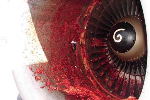 Running Engine and Ground Safety