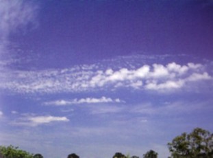 Altocumulus Castellanus