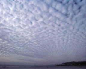 Altocumulus Mackerel Sky