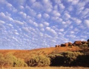 Altocumulus