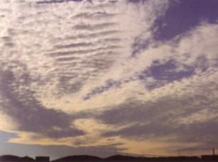 Altocumulus Undulatus