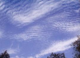 Cirrocumulus