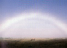 Fogbow