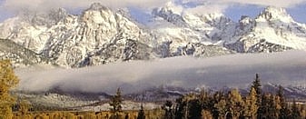 Fog Stratus