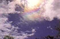 Iridescence