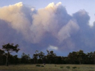 Pyrocumulus