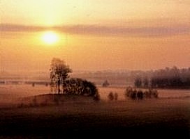 Radiation Fog