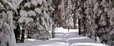 Snow